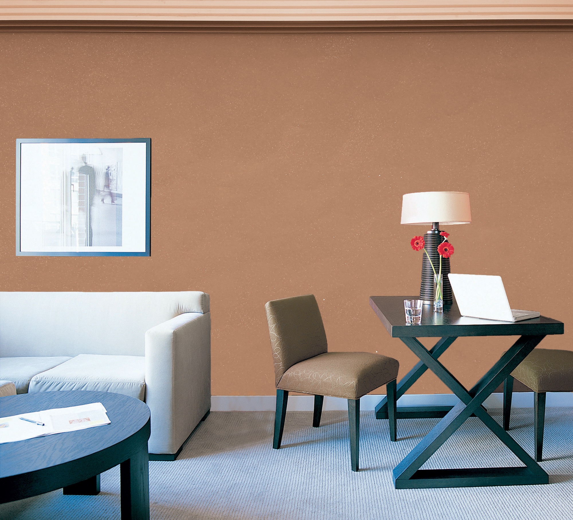 Intérieur COLORADO et sa peinture décorative